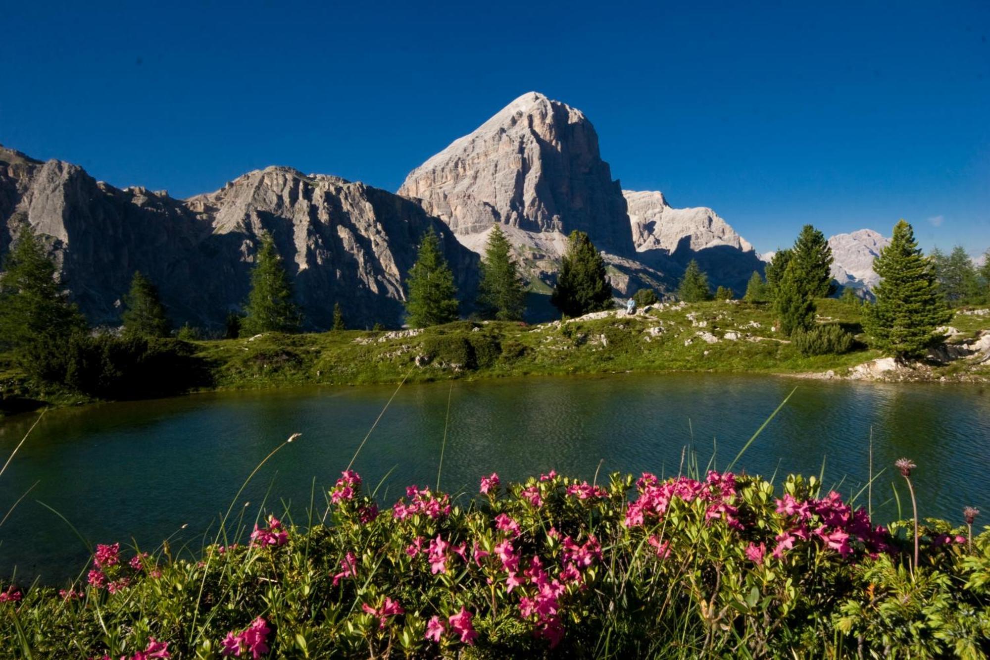 Ciasa Vervei Cortina d'Ampezzo Exterior photo