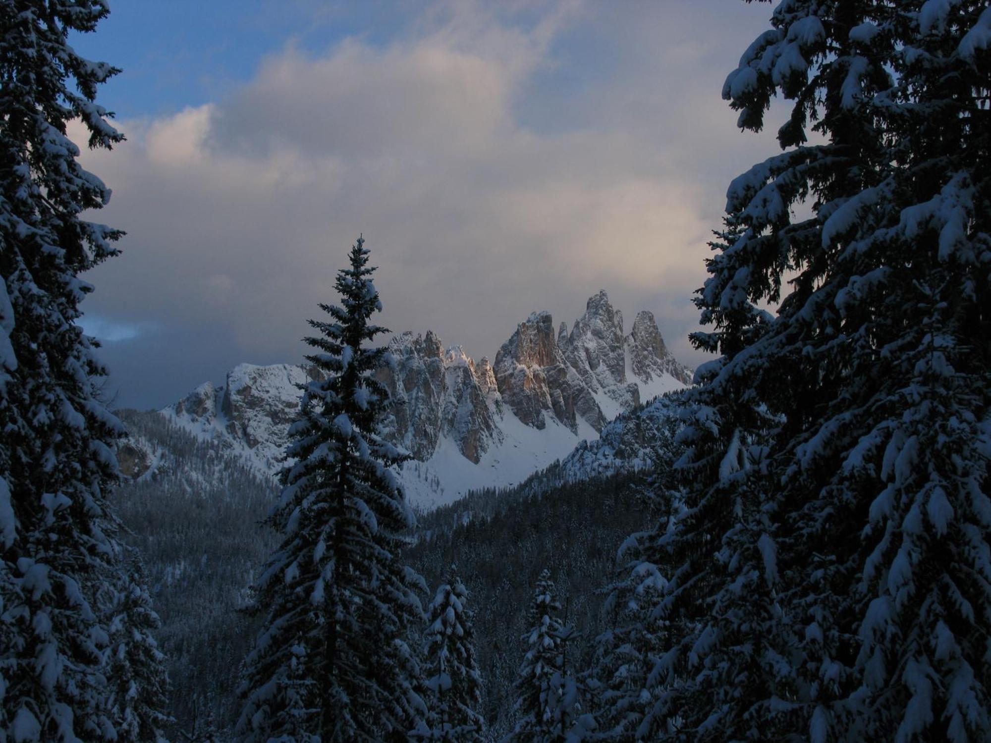 Ciasa Vervei Cortina d'Ampezzo Exterior photo